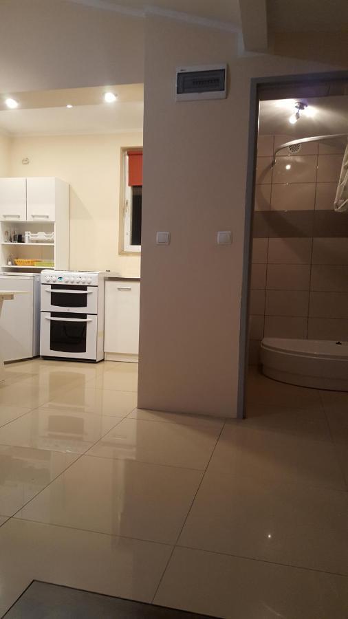 Ferienwohnung Wiola Zelistrzewo Exterior foto